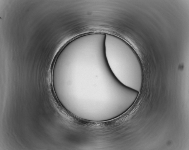 X0000100350891200806060758