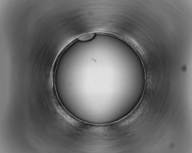 X0000100350892200806060758