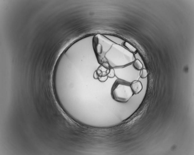X0000100350893200806060758