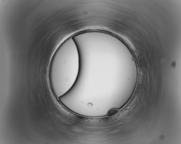 X0000100350895200806060758