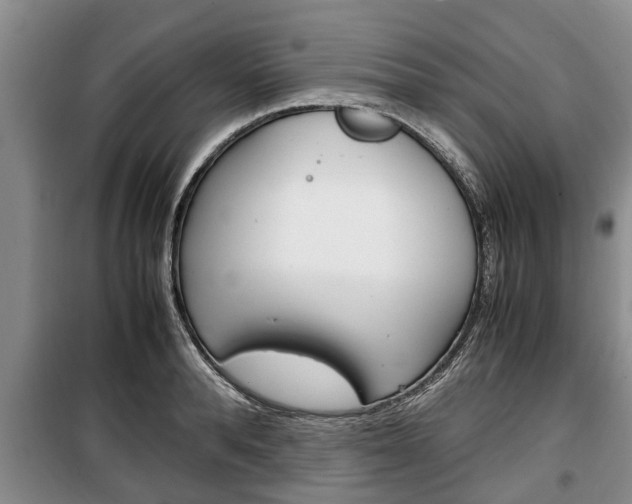 X0000100350896200806060758