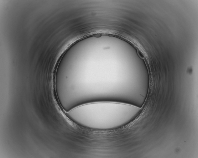 X0000100350898200806060758