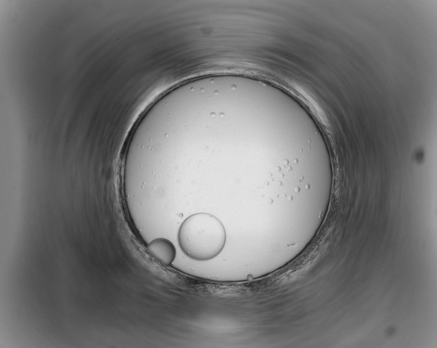 X0000100350899200806060758