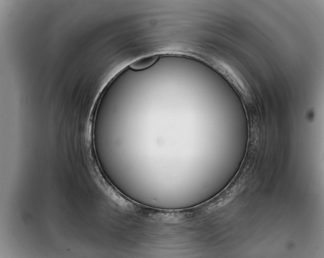 X0000100350900200806060758