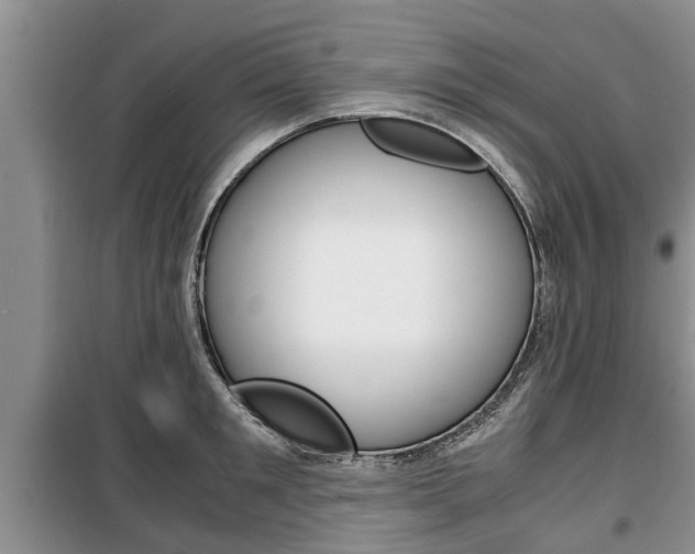 X0000100350901200806060758