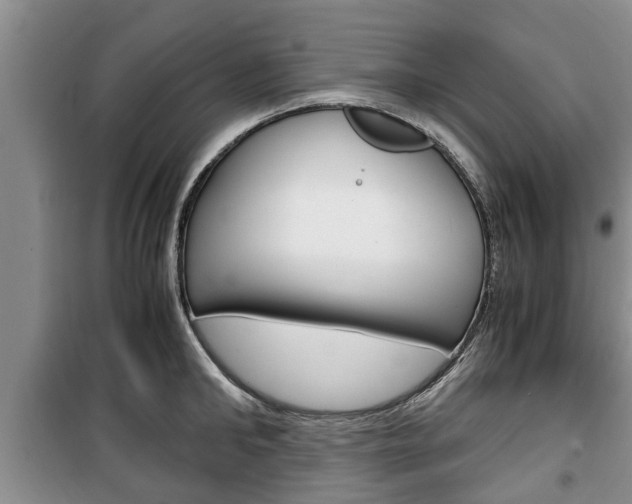 X0000100350902200806060758