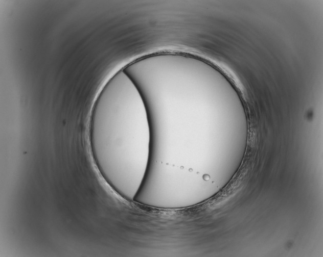 X0000100350903200806060758