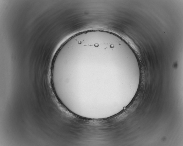 X0000100350904200806060758