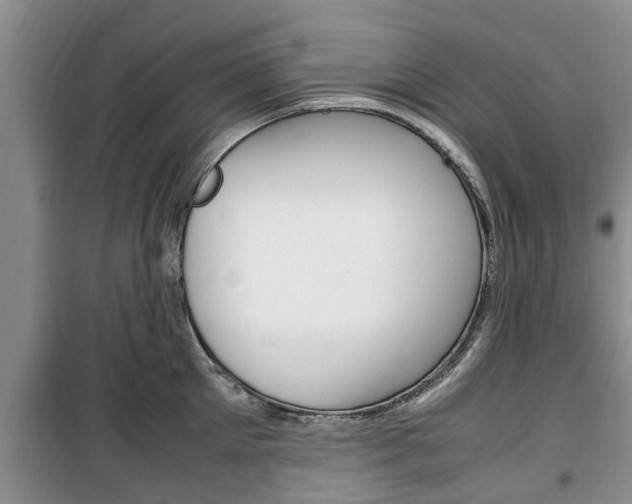 X0000100350905200806060758