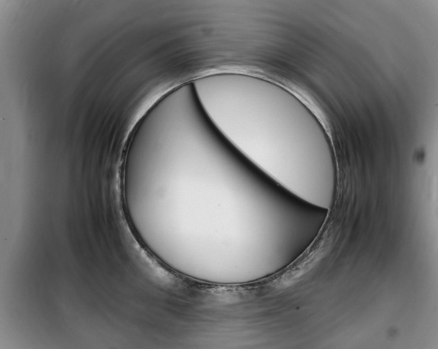 X0000100350906200806060758