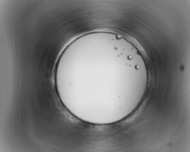 X0000100350908200806060758