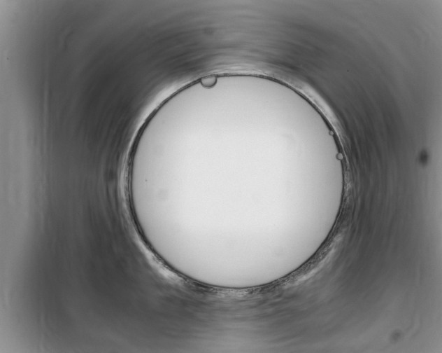 X0000100350909200806060758