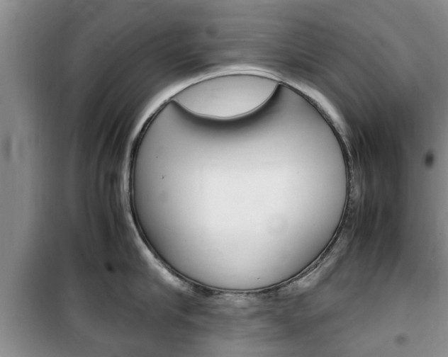 X0000100350910200806060758