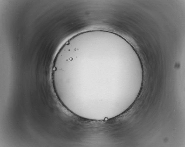 X0000100350912200806060757