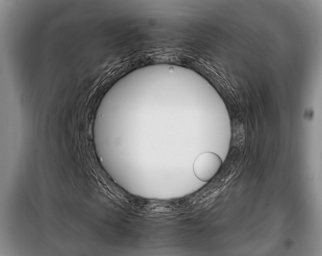 X0000100350913200806060757