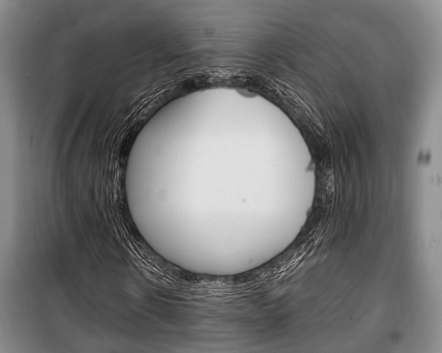 X0000100350914200806060757