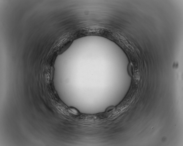 X0000100350916200806060757