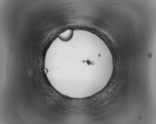 X0000100350918200806060757