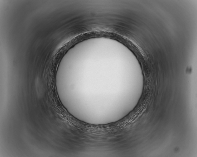 X0000100350919200806060757