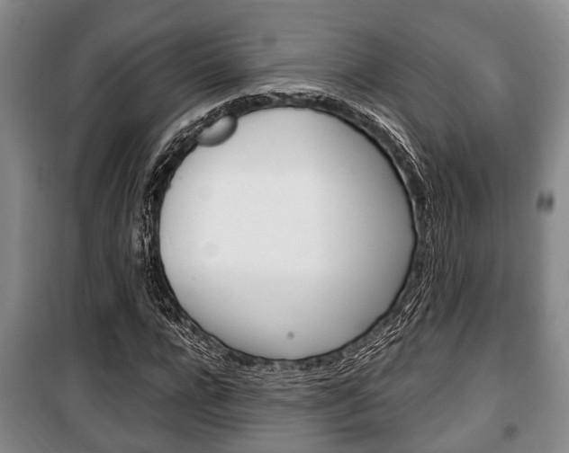 X0000100350920200806060757