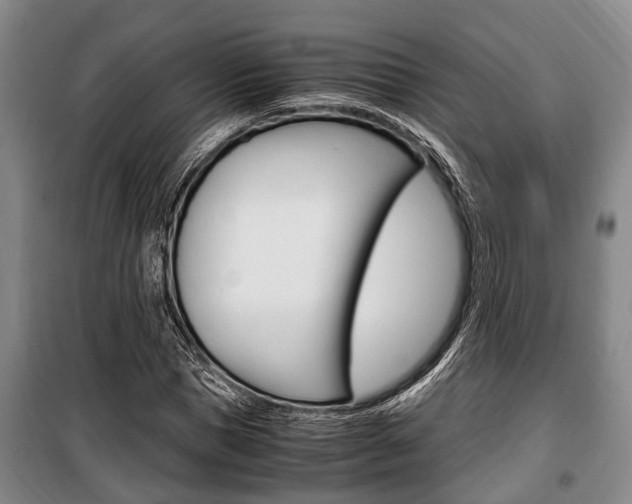 X0000100350921200806060757