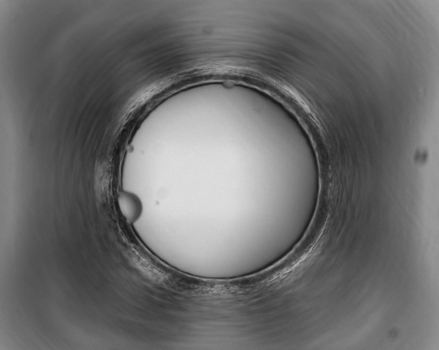 X0000100350922200806060757