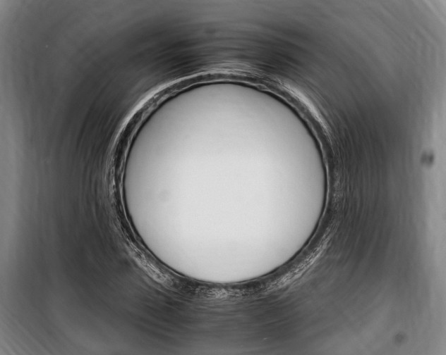 X0000100350923200806060757