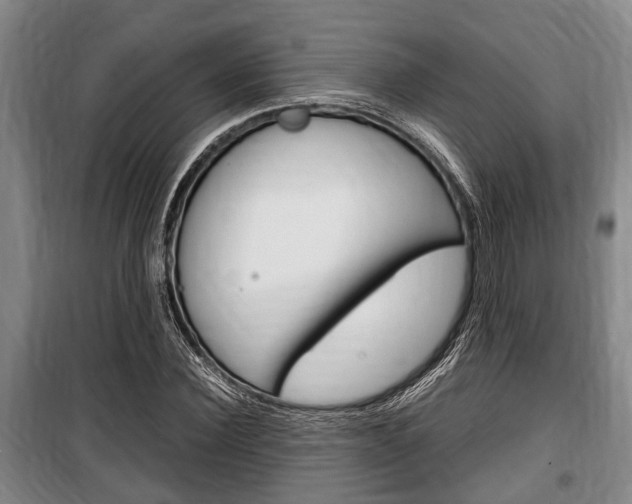 X0000100350924200806060757