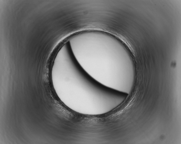 X0000100350926200806060757