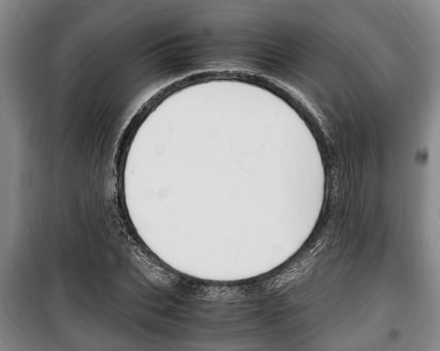 X0000100350927200806060757