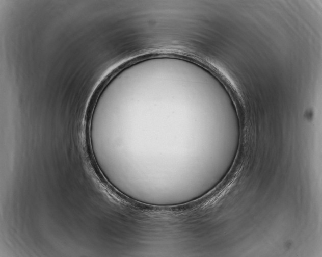 X0000100350932200806060757