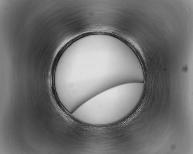 X0000100350936200806060757
