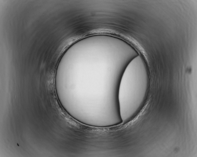 X0000100350937200806060757