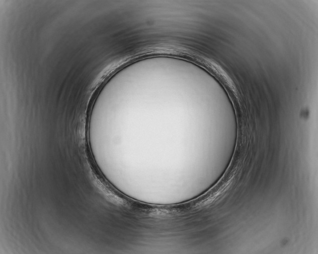 X0000100350938200806060757