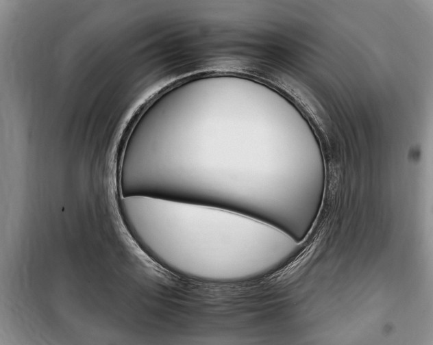 X0000100350939200806060757