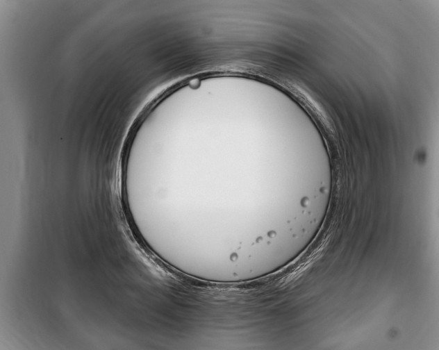 X0000100350940200806060757