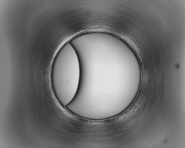 X0000100350941200806060757