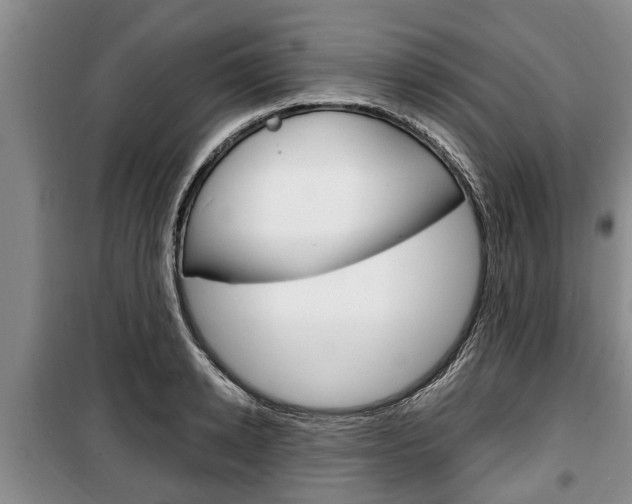 X0000100350942200806060757