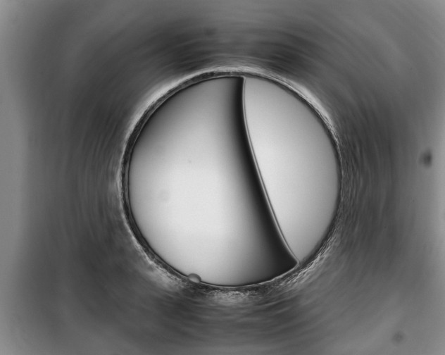 X0000100350943200806060757