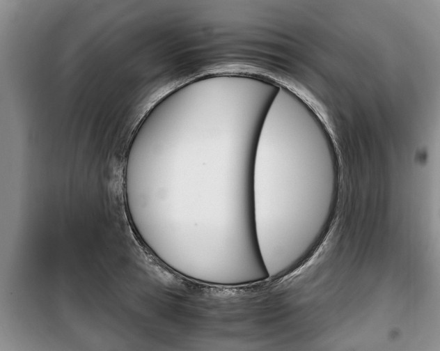 X0000100350945200806060757