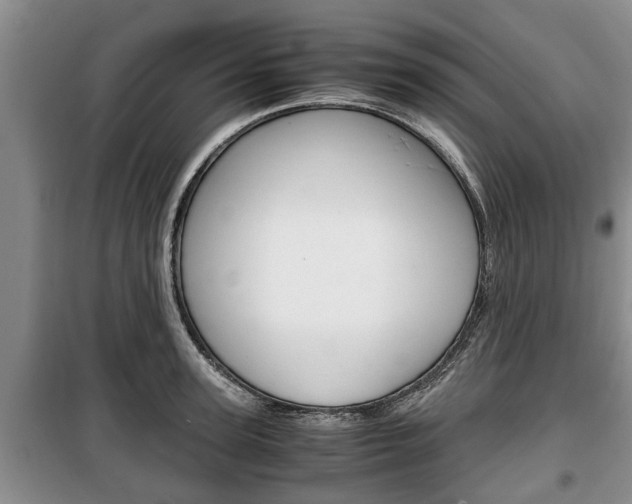 X0000100350947200806060757