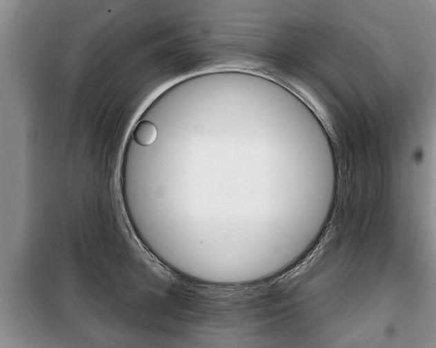 X0000100350948200806060757