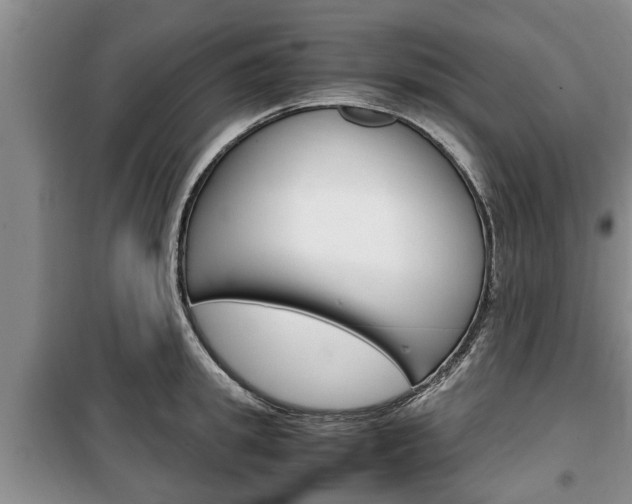 X0000100350949200806060757
