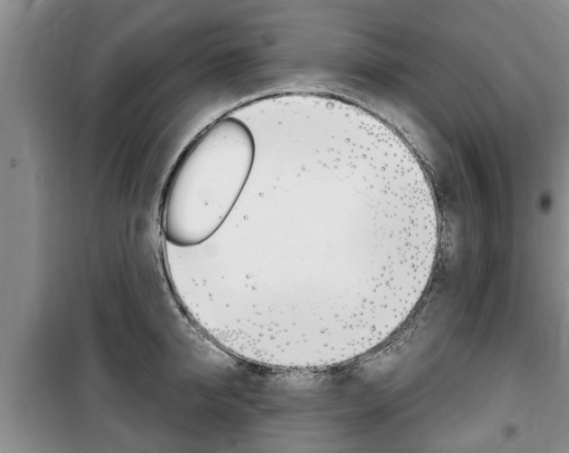 X0000100350950200806060757