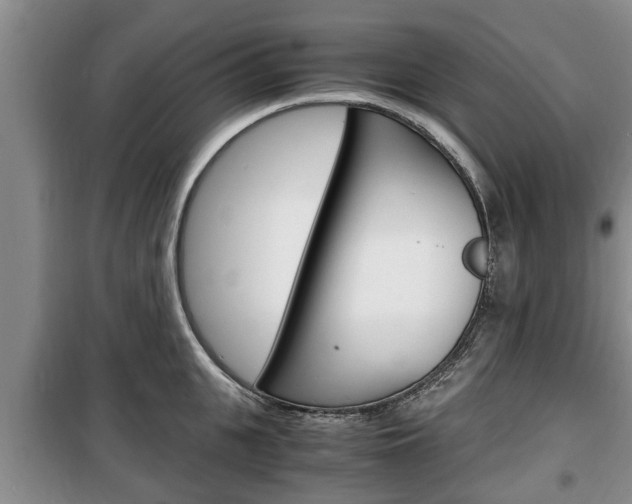 X0000100350951200806060757