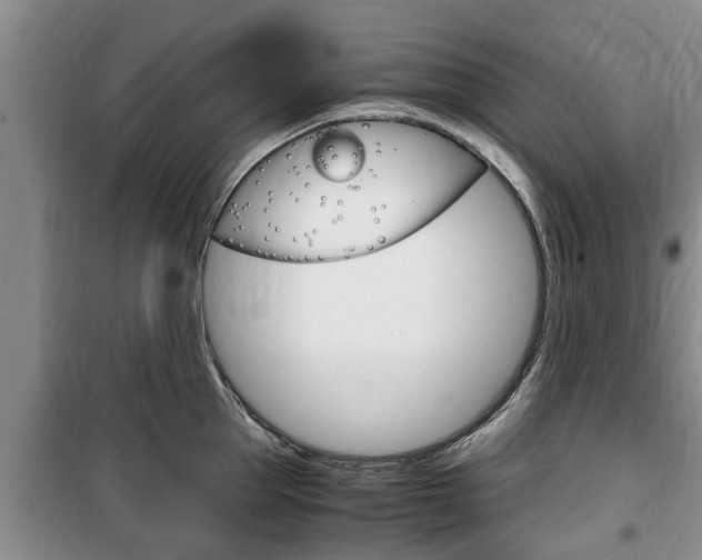 X0000100350953200806060757