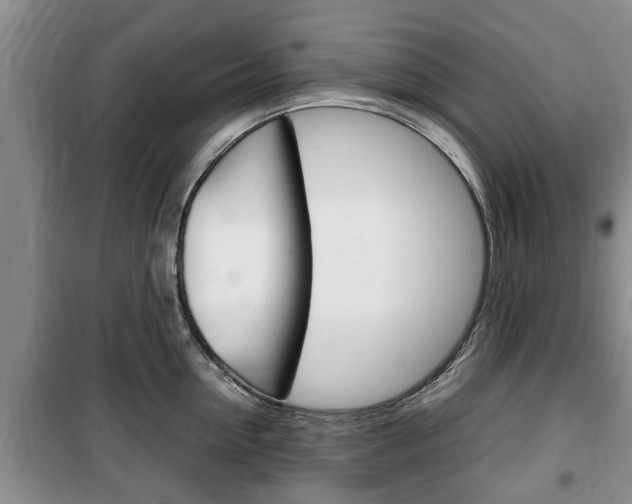 X0000100350954200806060757