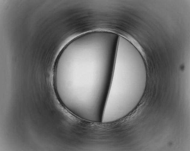 X0000100350955200806060757