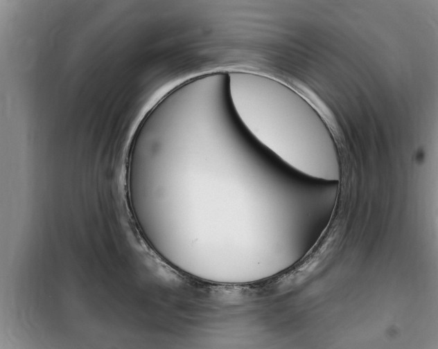 X0000100350956200806060757