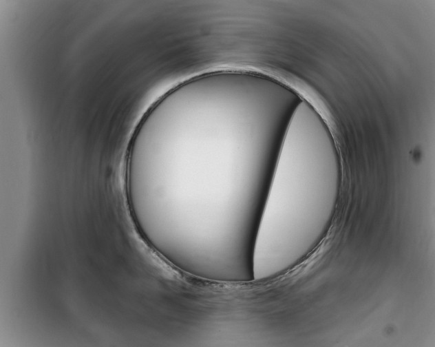 X0000100350958200806060757